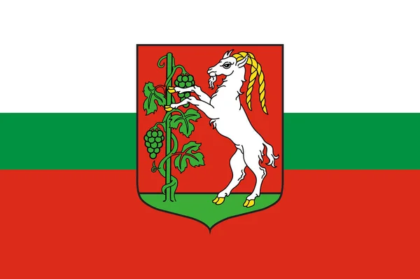 Bandiera della città di Lublino nella Polonia sudorientale — Vettoriale Stock