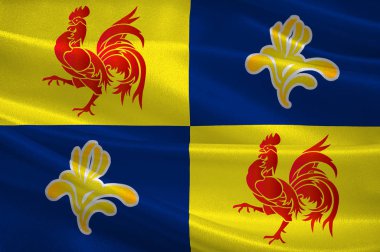 Belçika 'daki Wallonia bayrağı