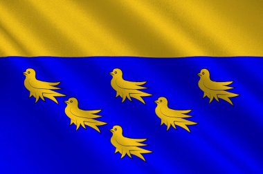 Ingiltere 'de West Sussex bayrağı