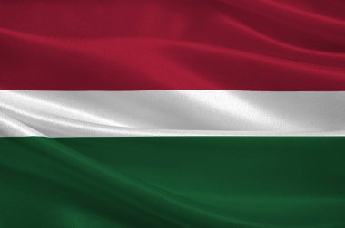 Letonya içinde Selonia bayrağı