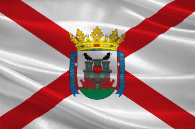 Bask Ülkesi Ispanya 'da Vitoria-Gasteiz bayrağı