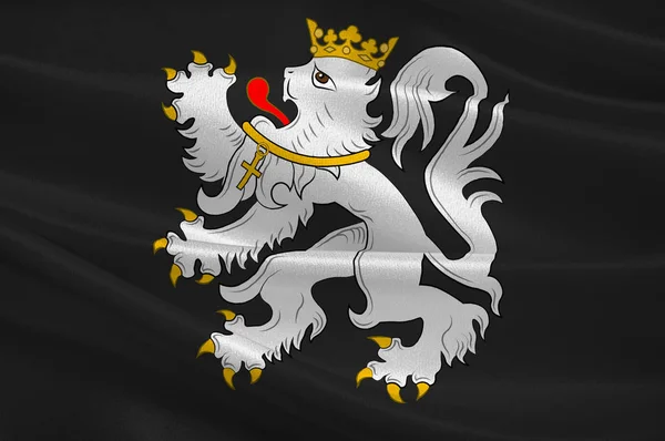 Flaga Gandawy w regionie flamandzkim Belgii — Zdjęcie stockowe