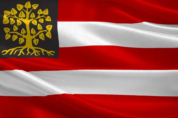 Flag of Hertogenbosch, Netherlands — Stock Photo, Image
