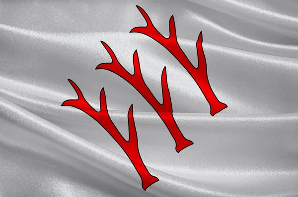 Bandeira de Sarrebourg in Moselle of Grand Est é uma administração francesa — Fotografia de Stock