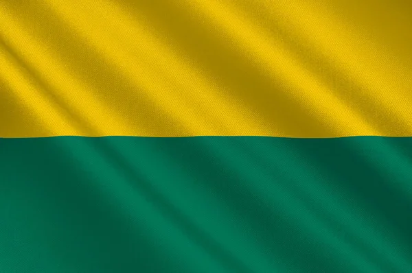 Vlag van Den Haag van Nederland — Stockfoto