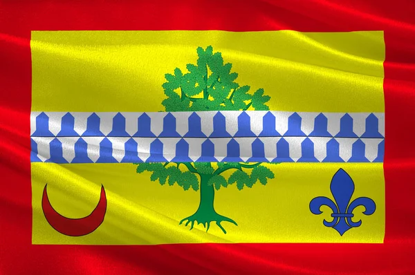 法国圣丹尼斯的勒兰西旗 — 图库照片