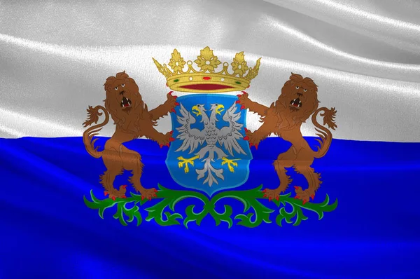 Flagga Arnhem av Gelderland, Nederländerna — Stockfoto