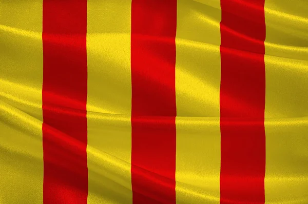 Fransa Occitanie bölgesinde Ariege 'deki Foix bayrağı — Stok fotoğraf