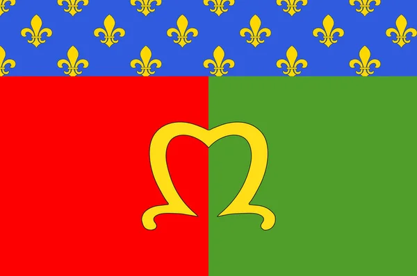 Флаг Мо в Сен-э-Марне, Франция — стоковый вектор