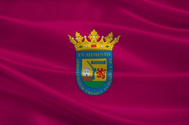Ispanya 'daki Bask Ülkesi 'ndeki Alava bayrağı
