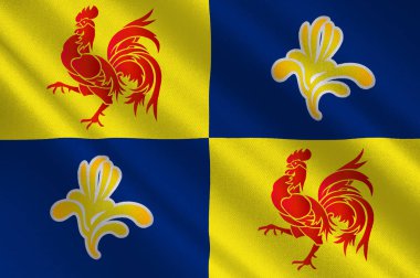 Belçika 'daki Wallonia bayrağı