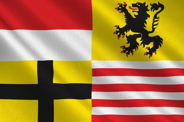 Vlag van Saalekreis in Saksen-Anhalt in Duitsland — Stockfoto