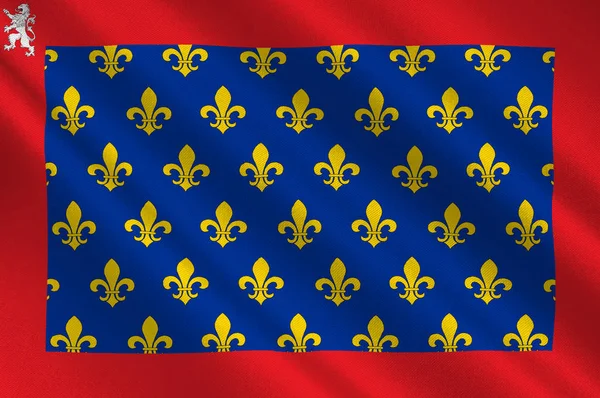 ペイズ・デ・ラ・ロワールのサルテの旗はフランスの地域です — ストック写真