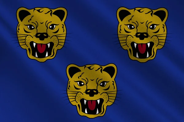 Flag of Shrewsbury in England