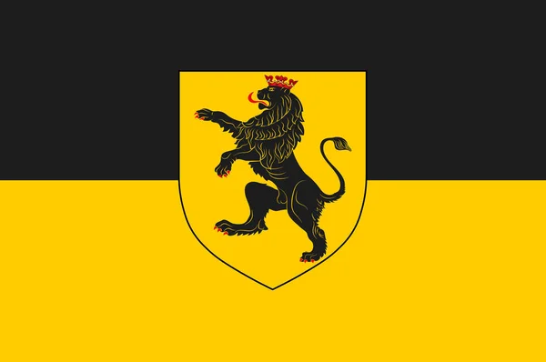 Flagge von Namur in Belgien — Stockfoto