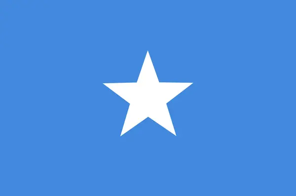Federala republiken Somalias flagga i Afrika — Stockfoto