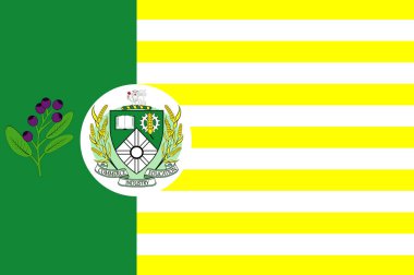 Kanada içindeki Saskatoon bayrağı