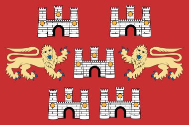 Ingiltere Hampshire içinde Winchester bayrağı