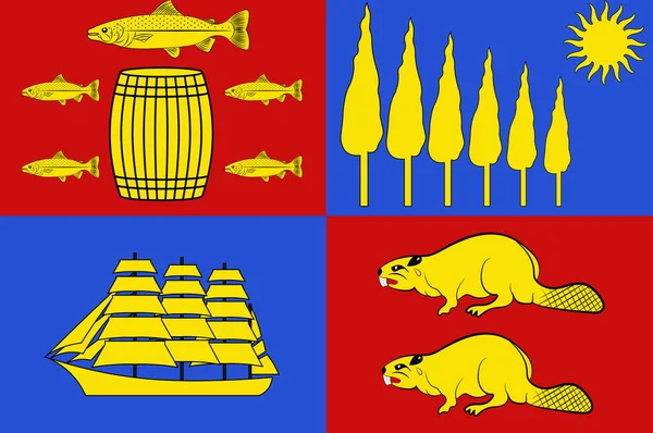 Kanada 'daki New Brunswick 'deki Saint John bayrağı — Stok fotoğraf