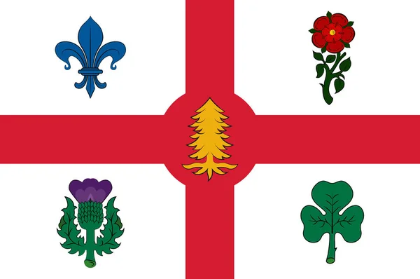Montreal zászlaja — Stock Fotó