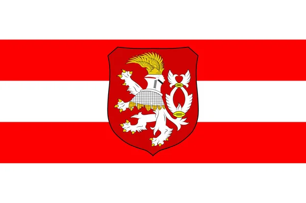 Usti nad Labem City in Çek Cumhuriyeti bayrağı — Stok fotoğraf