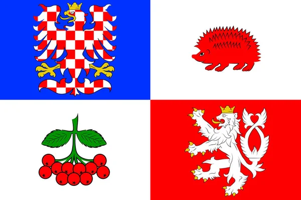 Прапор Висоніна в Чеській Республіці — стокове фото