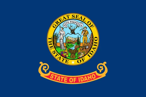 アメリカのアイダホ州の国旗 — ストックベクタ