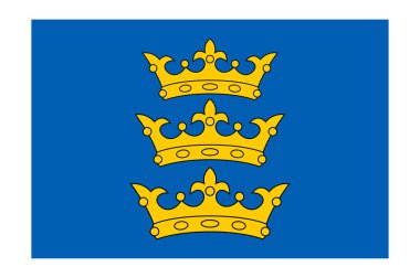 İrlanda Lordluğu Bayrağı, İrlanda Krallığı tarafından yönetilen İrlanda 'nın bir parçasıdır. Vektör illüstrasyonu