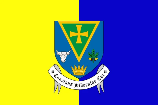 罗斯康县的旗帜是爱尔兰的一个县 在西部地区 它是Connacht省的一部分 3D说明 — 图库矢量图片