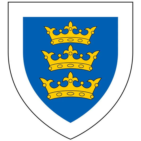 アイルランド王の紋章は後にノーマン アイルランドと呼ばれることもあり イングランド王によって統治されたアイルランドの一部であった ベクターイラスト — ストックベクタ