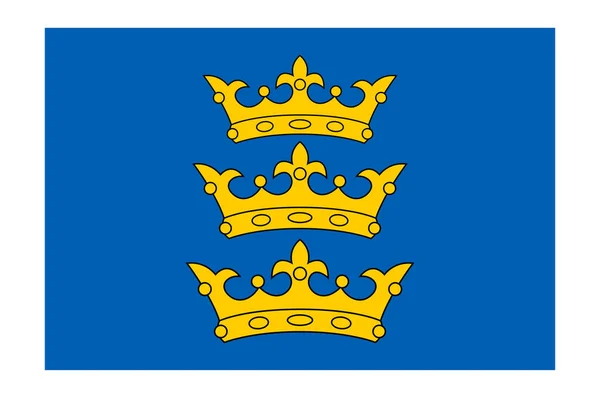 Rlanda Lordluğu Bayrağı Rlanda Krallığı Tarafından Yönetilen Rlanda Nın Bir — Stok Vektör