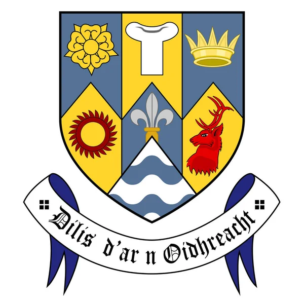 Coat Arms County Clare Είναι Μια Κομητεία Στην Ιρλανδία Στη — Διανυσματικό Αρχείο