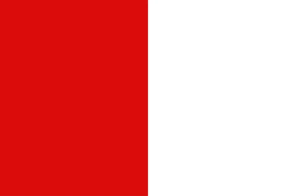 Contea Cork Inglese Flag County Cork Una Contea Dell Irlanda — Vettoriale Stock