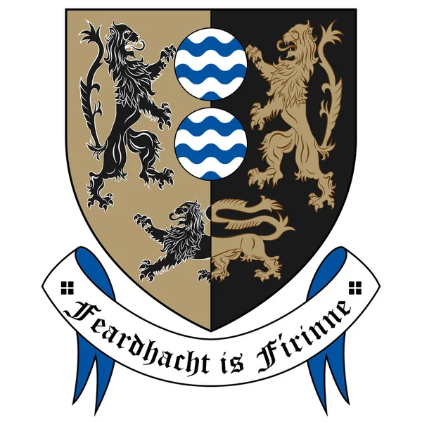 卡凡郡的纹章是爱尔兰的一个郡 矢量说明 — 图库矢量图片