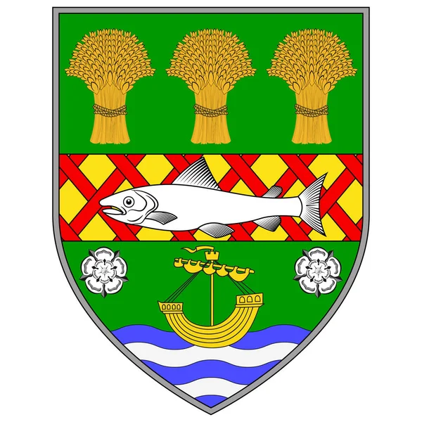 下郡的纹章是组成北爱尔兰的六个郡之一 矢量说明 — 图库矢量图片