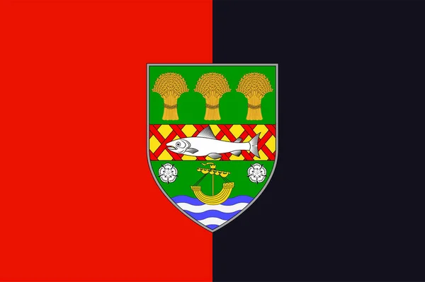 下郡旗是组成北爱尔兰的六个郡之一 矢量说明 — 图库矢量图片