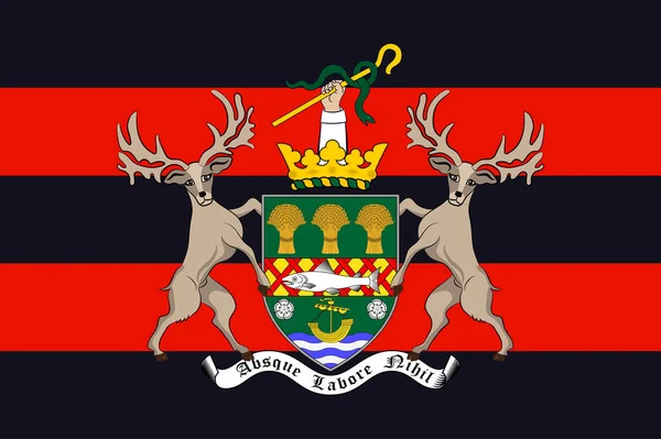Bandiera Della Contea Una Delle Sei Contee Che Formano Irlanda — Vettoriale Stock