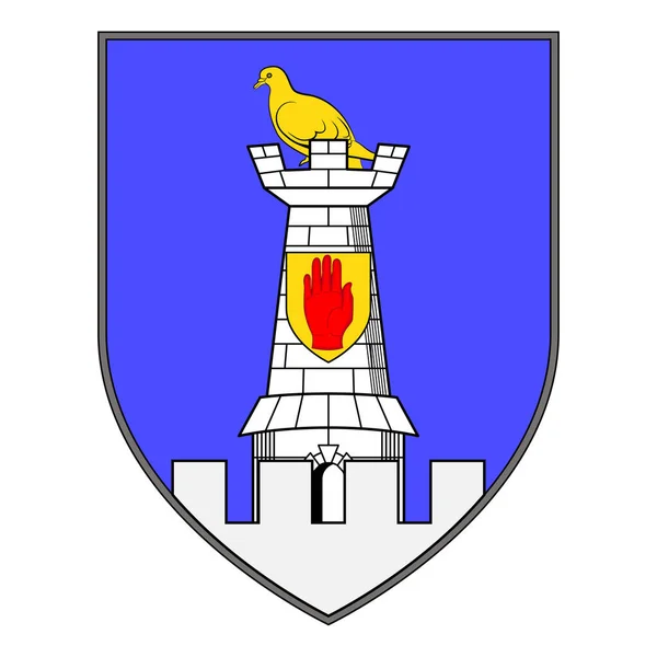 モナハンの紋章はアイルランドのモナハン郡の町である ベクターイラスト — ストックベクタ