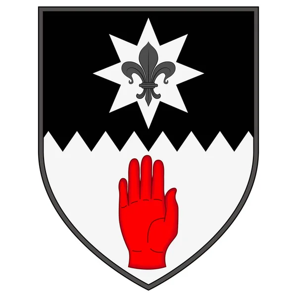 Escudo Armas Del Condado Tyrone Uno Los Nueve Condados Ulster — Vector de stock