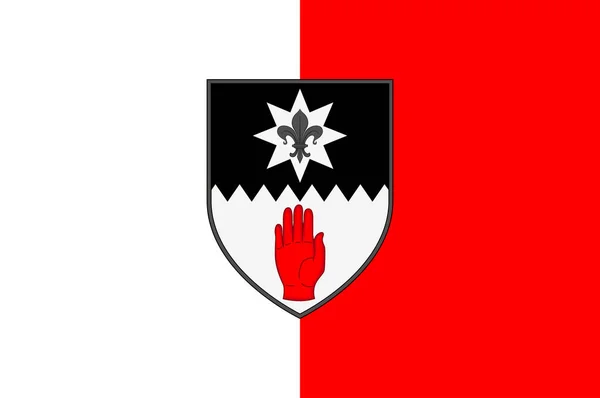 Bandeira Condado Tyrone Dos Nove Condados Ulster Dos Seis Condados —  Vetores de Stock