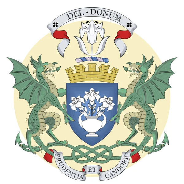 Herb Dundee Jest Czwartym Wielkości Miastem Szkocji Najbardziej Zaludnionym Obszarem — Wektor stockowy