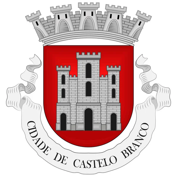 卡斯特洛 布兰科 Castelo Branco 是葡萄牙中部地区卡斯特洛 布兰科地区的一个市政当局和前主教辖区 矢量说明 — 图库矢量图片