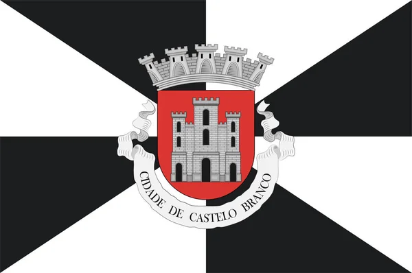 卡斯特洛布兰科旗 Castelo Branco 是葡萄牙中部地区卡斯特洛布兰科区的一个自治市和前主教辖区 矢量说明 — 图库矢量图片