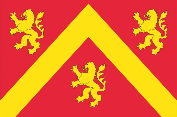 Flagge Von Anglesey Ist Eine Insel Vor Der Nordwestküste Von — Stockvektor