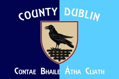 Dublin İlçesi (