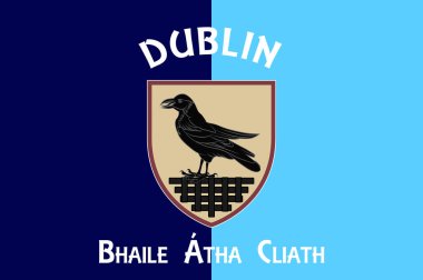 Dublin İlçesi (