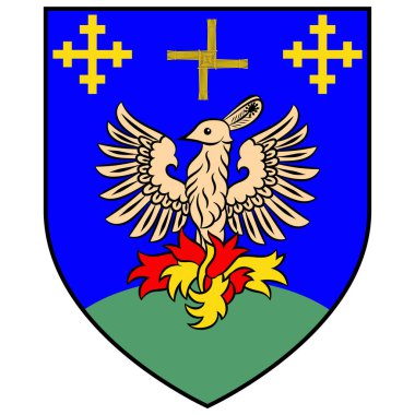 Tullamore Coat of Arms, İrlanda 'nın orta kesiminde, County Offaly ilinin bir ilçesidir. Vektör illüstrasyonu