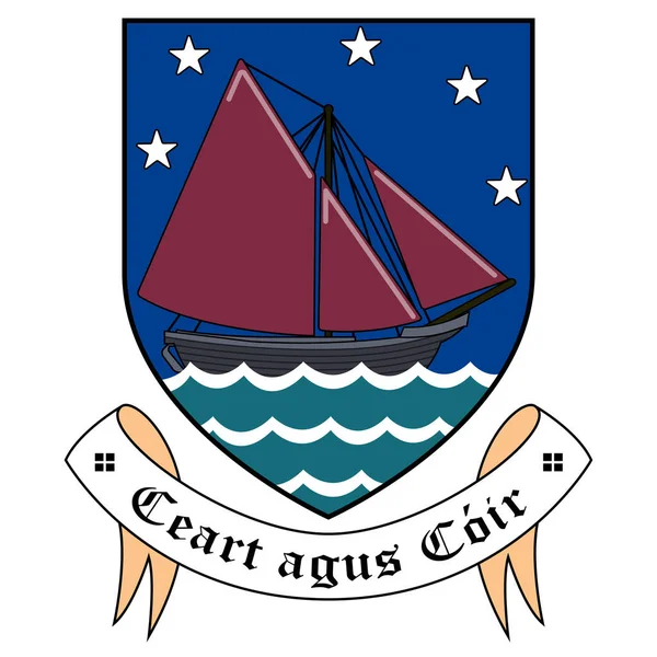 Coat Arms County Galway Een County Ierland Vectorillustratie — Stockvector