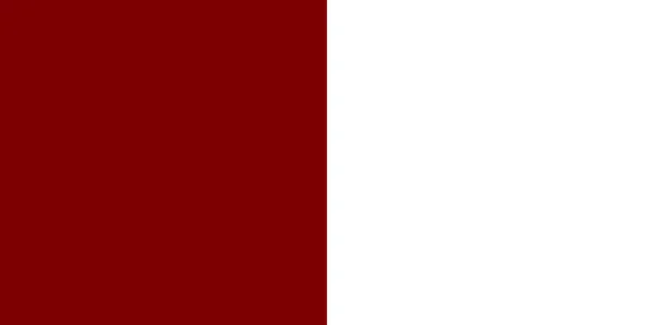 Zászló County Galway Egy Megye Írországban Vektorillusztráció — Stock Vector