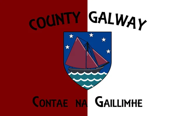 골웨이 백작령 Flag County Galway 아일랜드의 백작령이다 일러스트 — 스톡 벡터